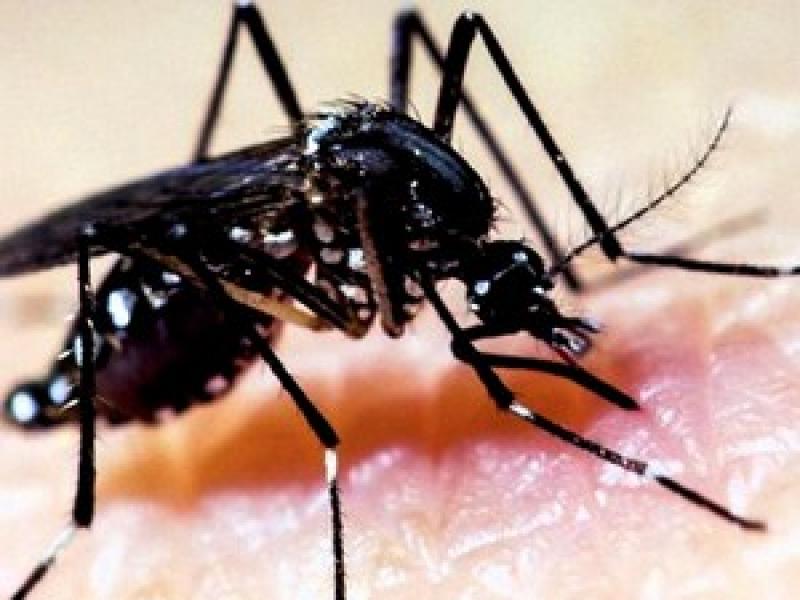 Pernambuco investiga 64 mortes suspeitas de dengue em 2016