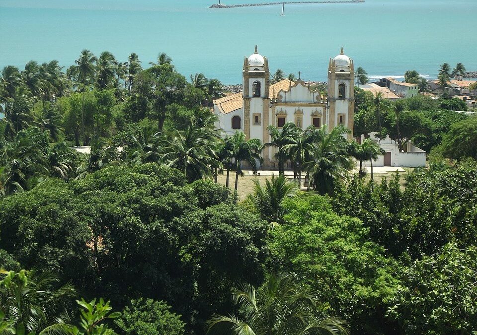 Dedetizadora em Recife: Dicas para Se Prevenir das Pragas Urbanas Mais Comuns