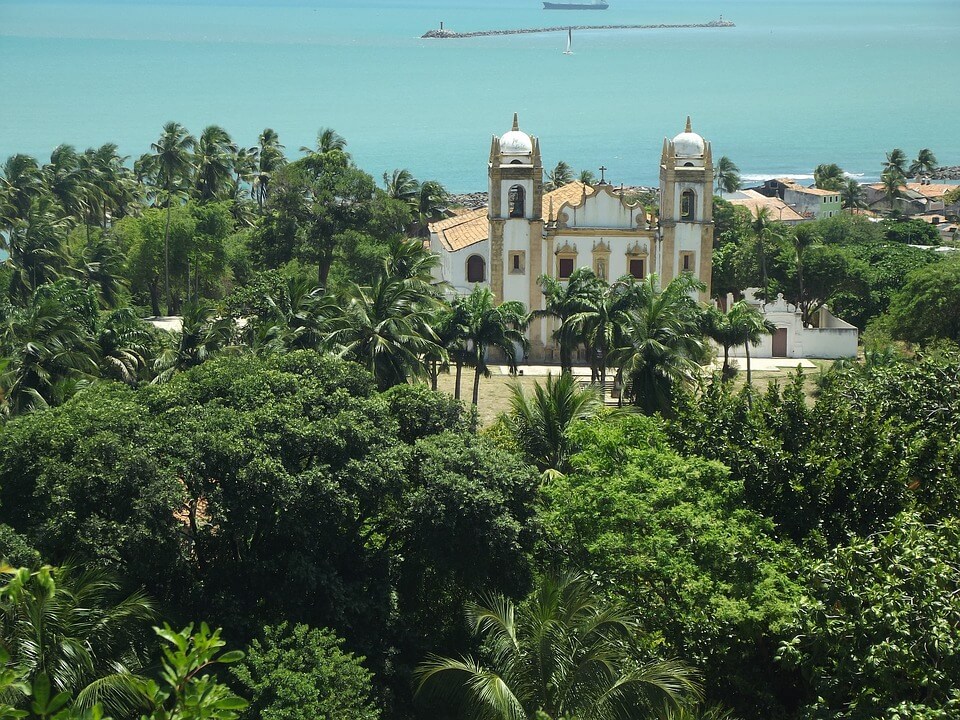 Dedetizadora em Recife