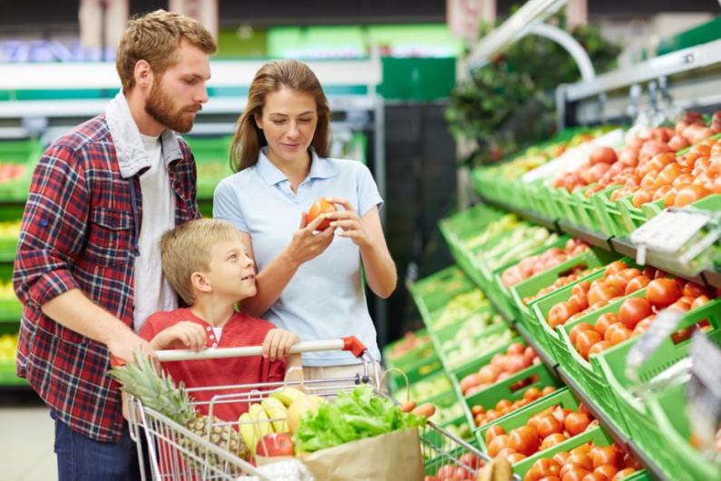 Controle de Pragas em Supermercado: Conheça um dos Métodos Mais Seguros e Eficientes