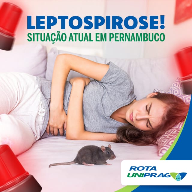 Leptospirose. O fantasma que ainda nos cerca e ameaça a saúde.