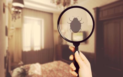 Prevenção contra os Percevejos de Cama: dicas essenciais!