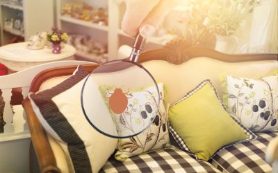 A importância da dedetização de percevejos de cama