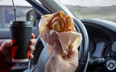 Baratas e formigas em Carros: proteja-se contra essas incômodas pragas