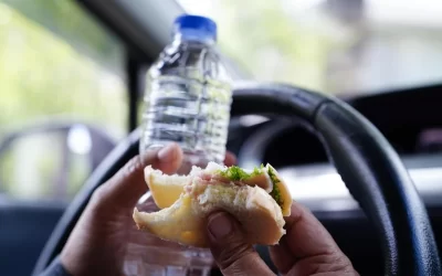 Conheça os riscos da Infestação de barata em carros