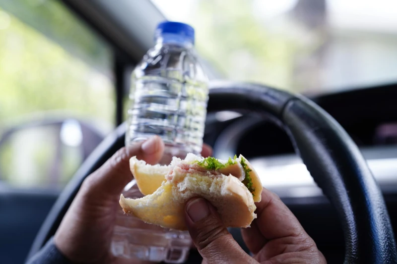 Conheça os riscos da Infestação de barata em carros