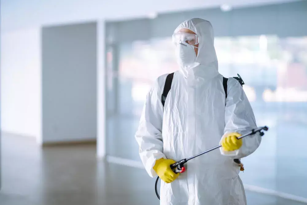 Como a RDC 52/2009 Protege sua Casa e Sua Empresa de Infestações?