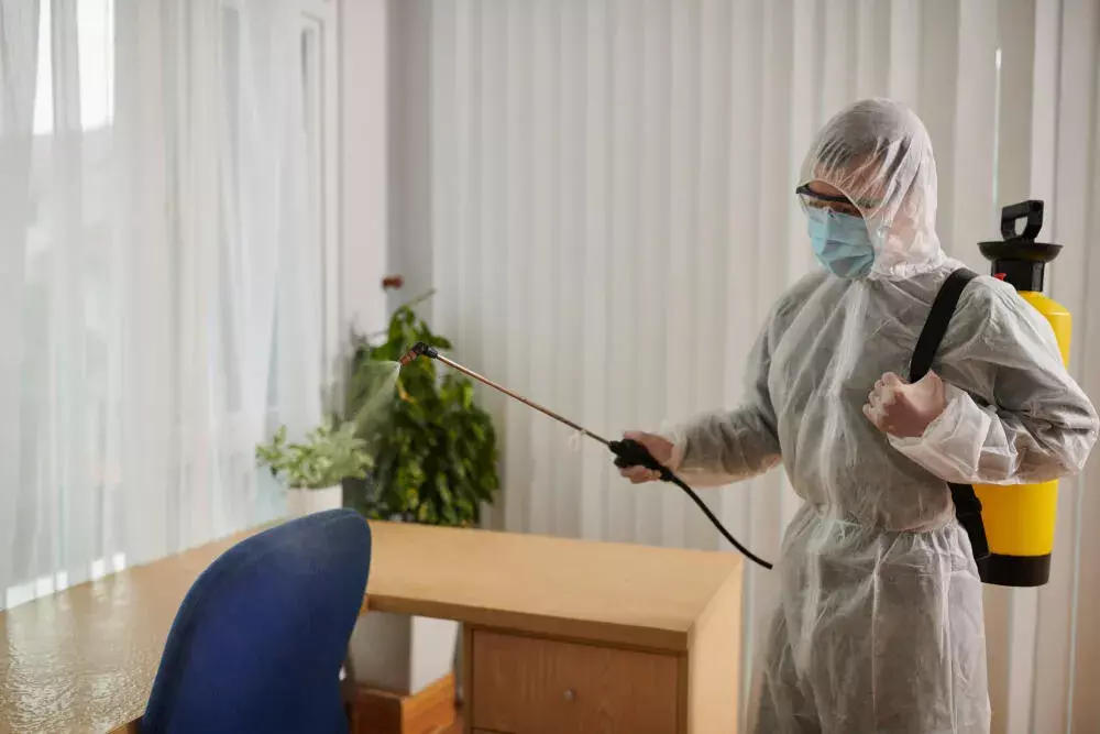 Benefícios do MIP: Por que optar por um controle de pragas sustentável e eficiente?