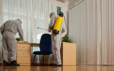 Desafios e Soluções na Implantação do Manejo Integrado de Pragas em Grandes Empresas