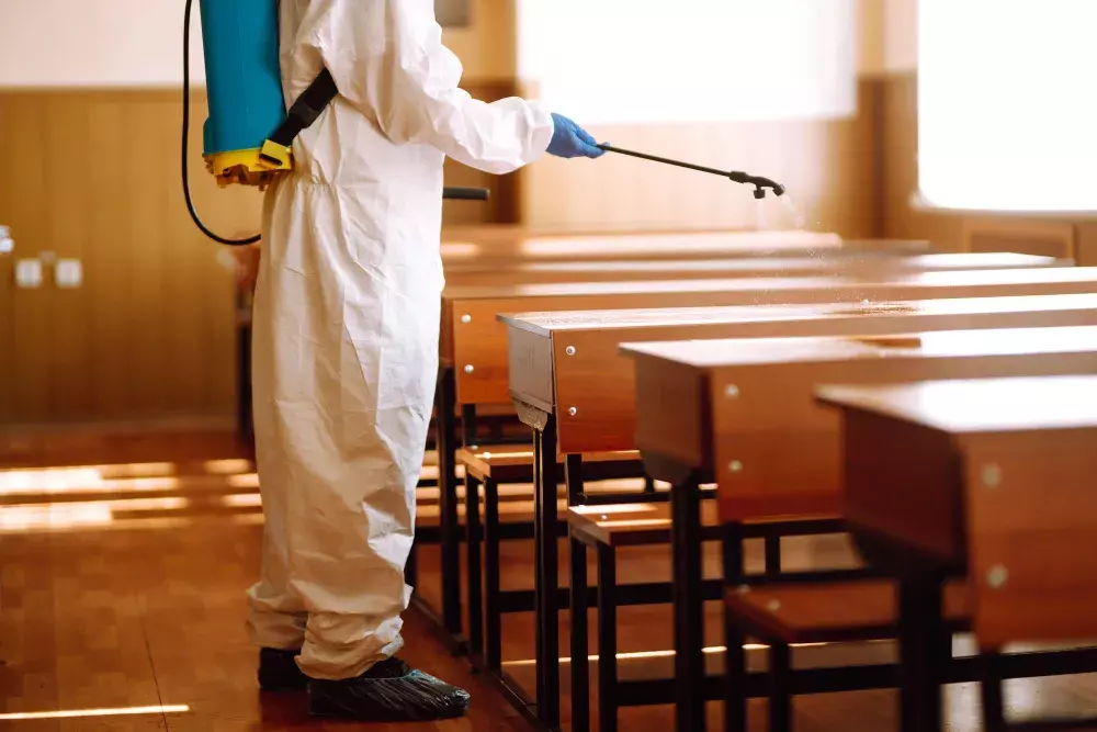 Controle de Pragas em Escolas: A Importância da Prevenção no Período de Férias Controle de Pragas em Escolas: A Importância da Prevenção no Período de Férias