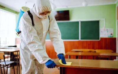 Dedetização em Escolas: Como Garantir um Ambiente Seguro para Alunos e Educadores
