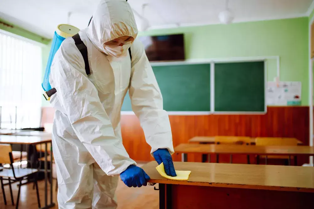 Dedetização em Escolas: Como Garantir um Ambiente Seguro para Alunos e Educadores Dedetização em Escolas: Como Garantir um Ambiente Seguro para Alunos e Educadores