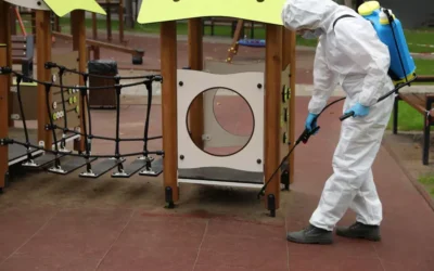 Dedetização Escolar: Normas de Segurança e Boas Práticas para Evitar Infestações
