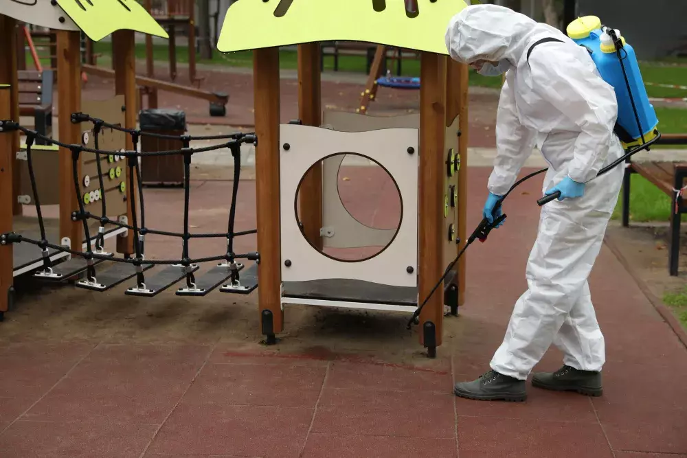 Dedetização Escolar: Normas de Segurança e Boas Práticas para Evitar Infestações Dedetização Escolar: Normas de Segurança e Boas Práticas para Evitar Infestações