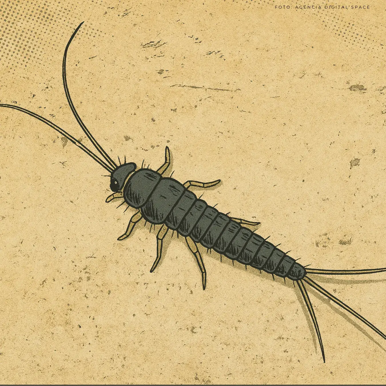 Dedetização em arquivos, estoques e bibliotecas: entenda a importância