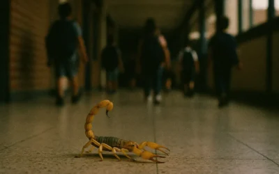 Dedetização preventiva baseada em inspeção profissional