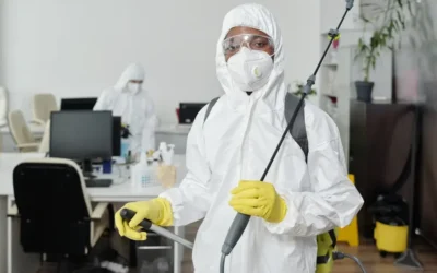 Dedetização em empresas: riscos operacionais e sanitários