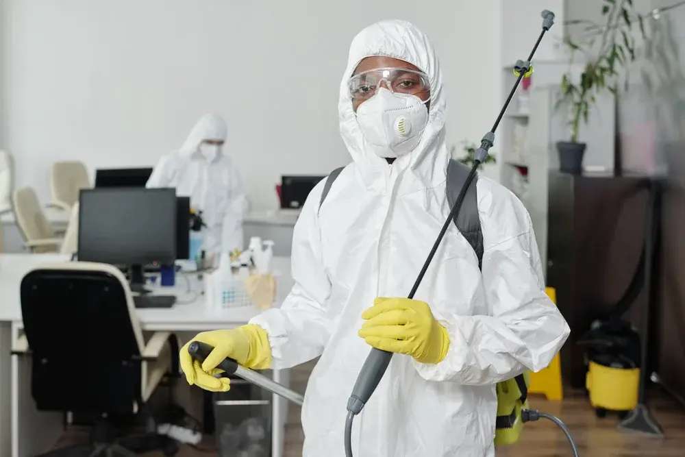 Dedetização em empresas: riscos operacionais e sanitários