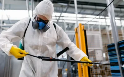 Dedetização profissional como parte da gestão de riscos
