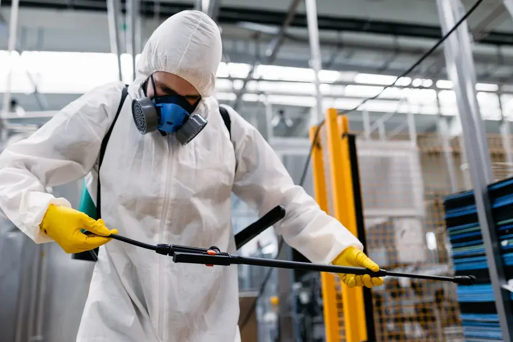 Dedetização profissional como parte da gestão de riscos